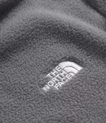 Polar The North face
